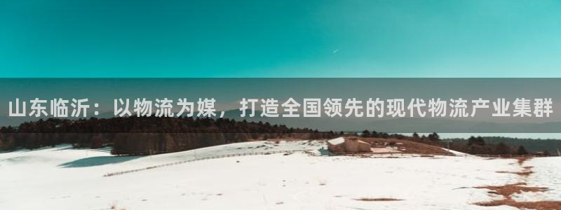 狗子28系统自动保护：山东临沂：以物