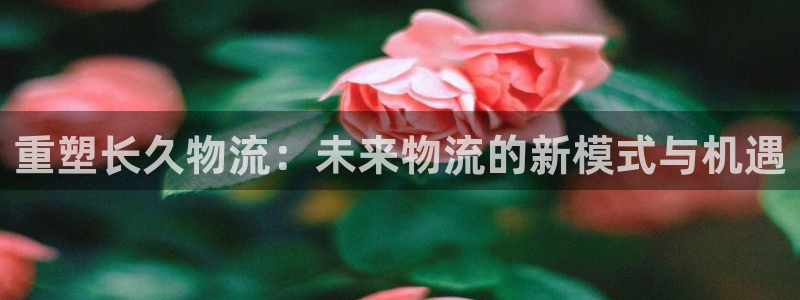 狗子28网站平台是多少：重塑长久物流
