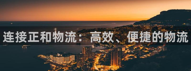 狗子28官网平台：连接正和物流：高效