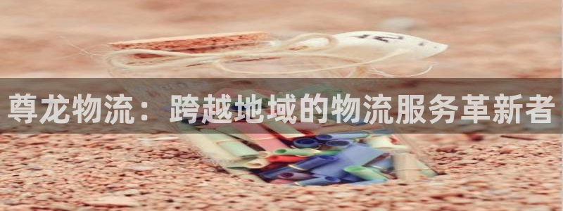 狗子28大神预测：尊龙物流：跨越地域