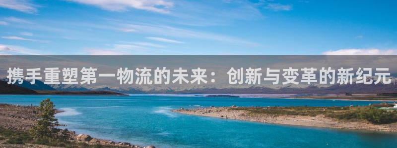 狗子28PG电子游戏：携手重塑第一物流的未来：创新与变革的新