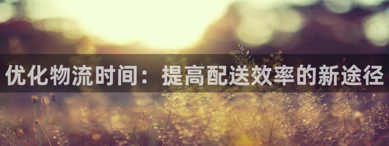 狗子28官网版所有版本：优化物流时间