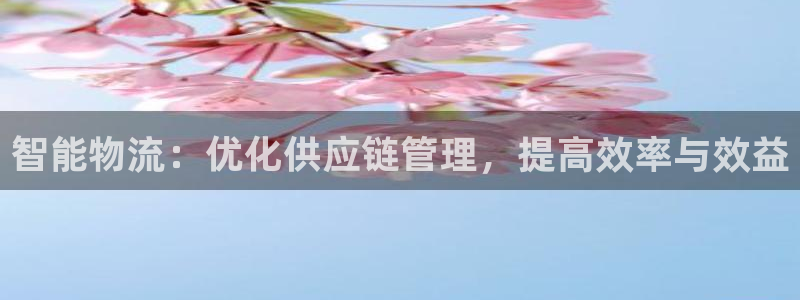 狗子28南宫娱乐官网：智能物流：优化