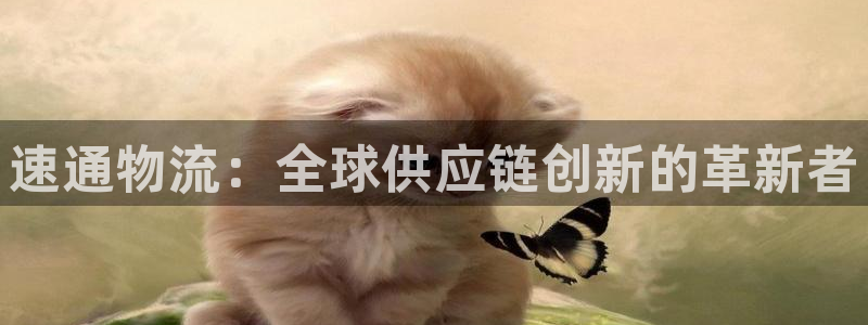 狗子28官网入口o：速通物流：全球供