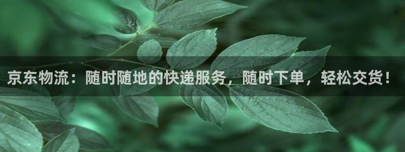 狗子28图片：京东物流：随时随地的快