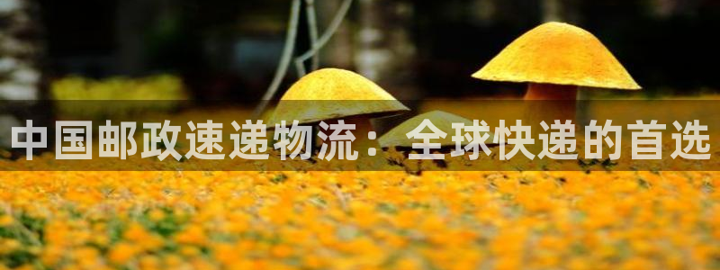 狗子28p扣除：中国邮政速递物流：全球快递的首选