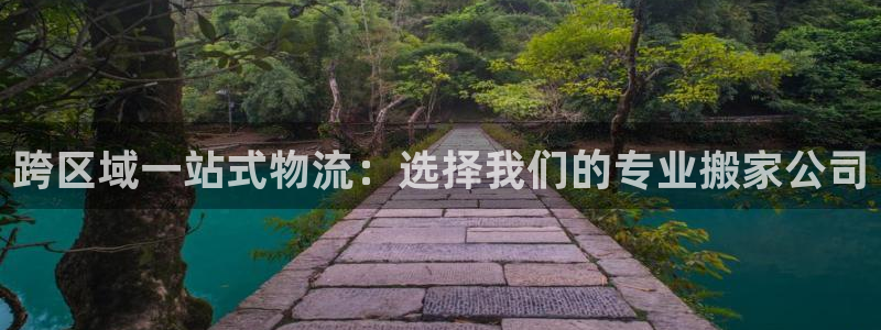狗子28能提现吗：跨区域一站式物流：