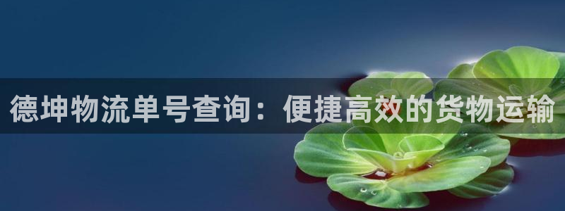 狗子28加拿大开奖：德坤物流单号查询