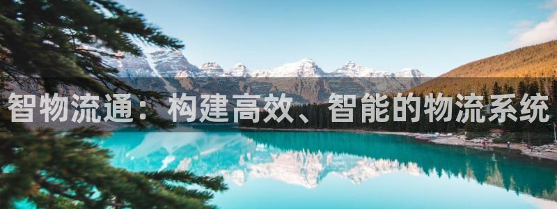 狗子28网站平台是多少：智物流通：构
