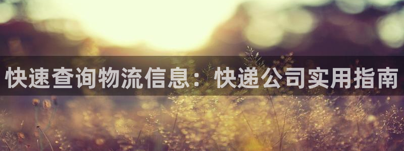 狗子28网站平台：快速查询物流信息：