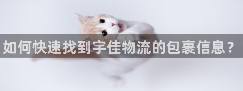 狗子28充值不到账怎么回事：如何快速