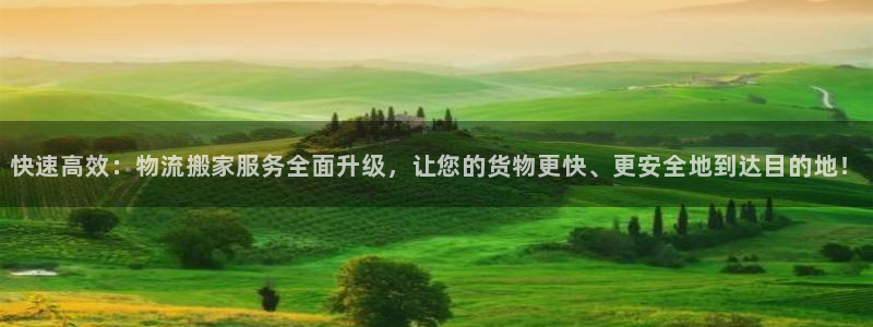 狗子28加拿大真假怎么看