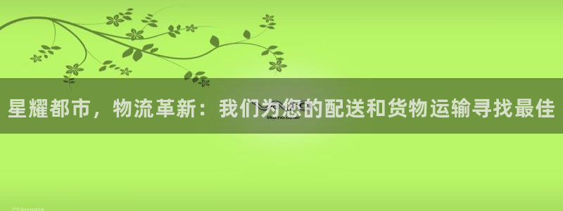 狗子28注册步骤：星耀都市，物流革新
