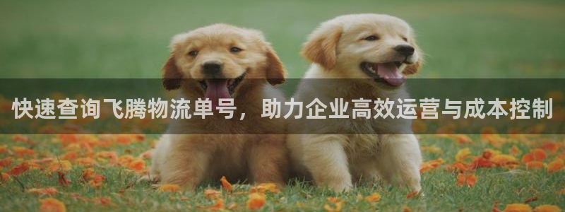 狗子28不给提现：快速查询飞腾物流单