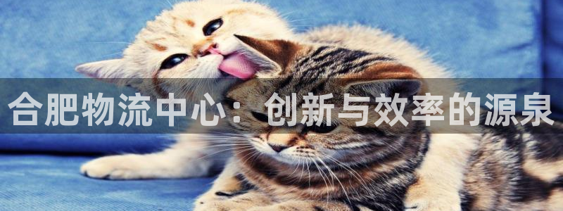 狗子28哪个最赚钱：合肥物流中心：创
