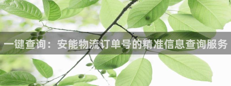 狗子28下载二维码怎么弄：一键查询：