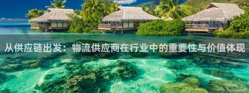 狗子28怎么注册账号和密码：从供应链