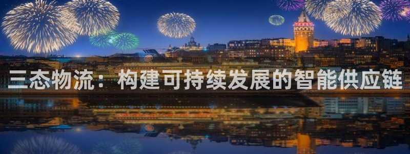 狗子28PG电子游戏：三态物流：构建