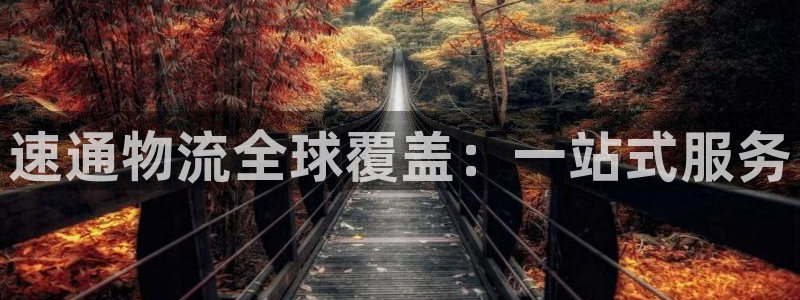 狗子28官方版正版：速通物流全球覆盖