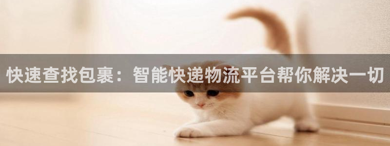 狗子28电子游戏：快速查找包裹：智能