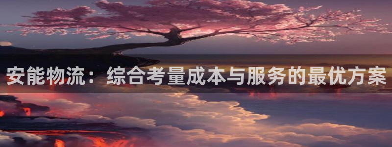 狗子28充值不到账：安能物流：综合考