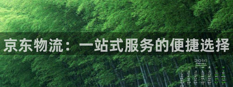 狗子28官网下载链接是什么：京东物流：一站式服务的便捷选择